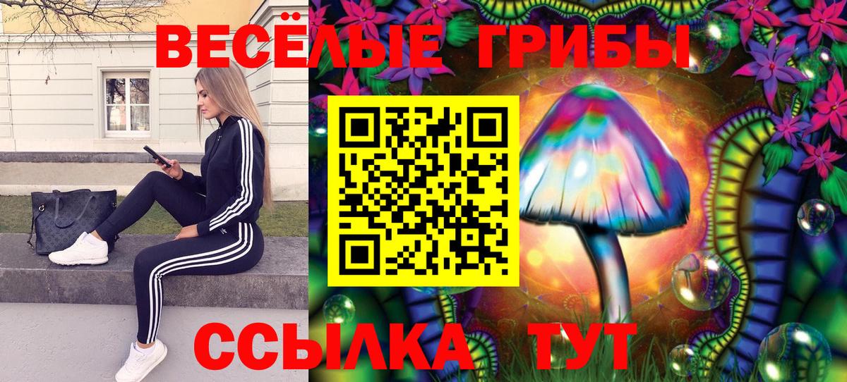 Галлюциногенные грибы GOLDEN TEACHER  Вход с VPN  Каменск-Шахтинский 