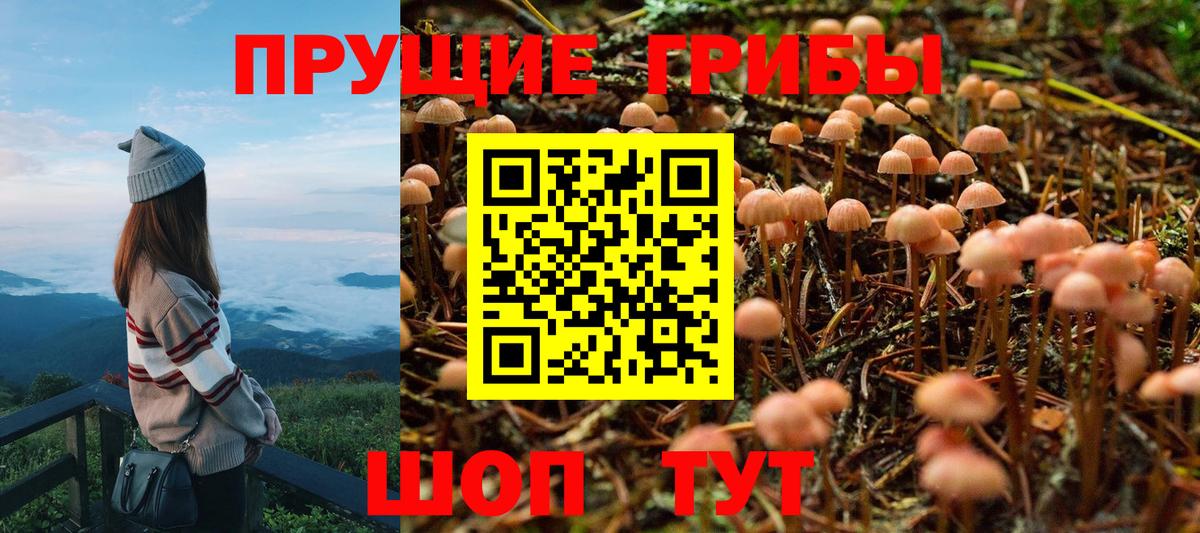 Галлюциногенные грибы Cubensis Каменск-Шахтинский